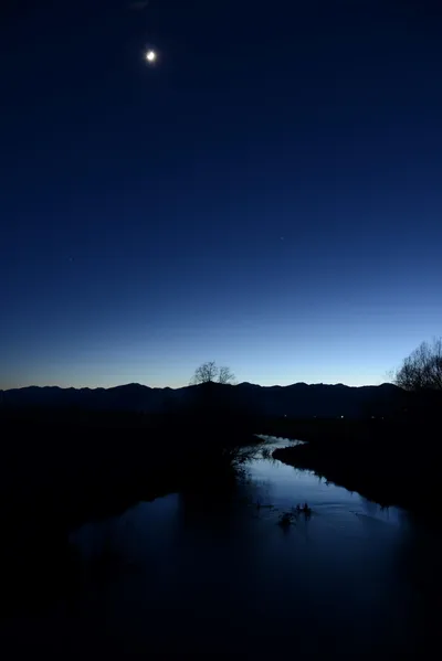 DSC_1102 (Large).JPG